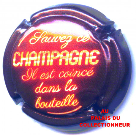 CHAMPAGNE 1270c LOT N°30692