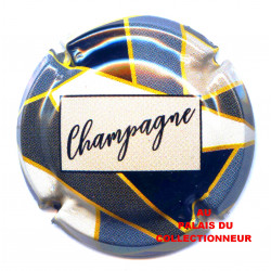 CHAMPAGNE 1338c LOT N°30858