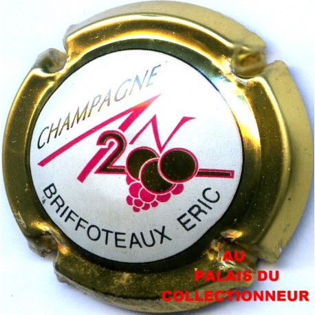 BRIFFOTEAUX Eric 617 LOT N°19800