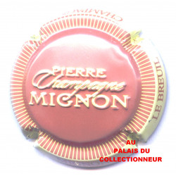 MIGNON PIERRE 100l LOT N°31108