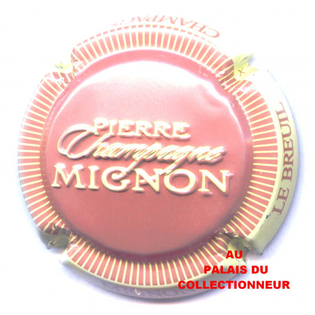 MIGNON PIERRE 100l LOT N°31108