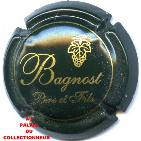 BAGNOST P. et F.01 LOT N°0041